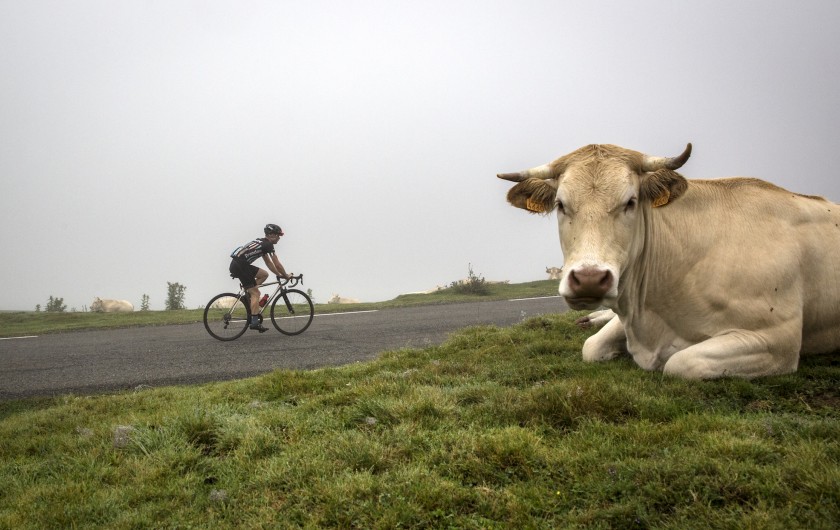 Location de vacances - Chalet à Aucun - Vélo de route - Hautes Pyrénées