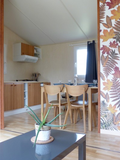 Location de vacances - Chalet à Aucun - Salon chalet origine - Azun Nature