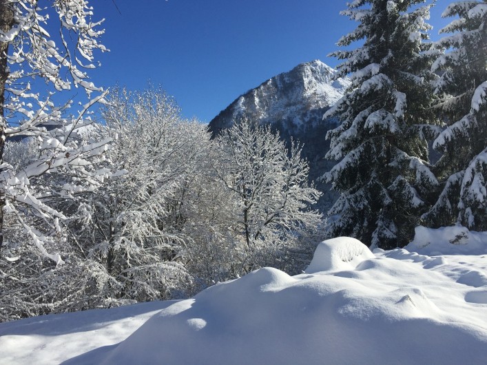 Location de vacances - Chalet à Estaing - RÊVE DE GOSSE jardin d'hiver