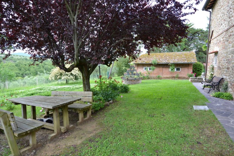 Location de vacances - Villa à Città della Pieve