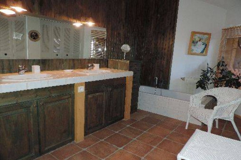 Location de vacances - Mas à Lauris