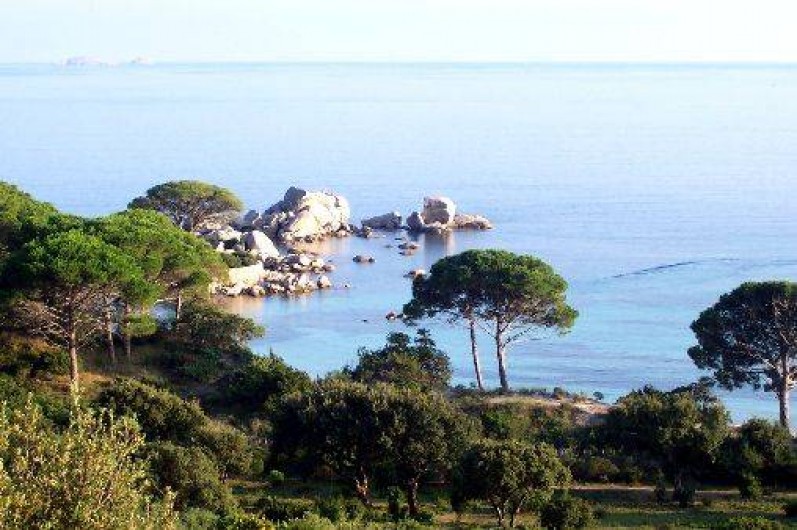 Location de vacances - Villa à Porto-Vecchio