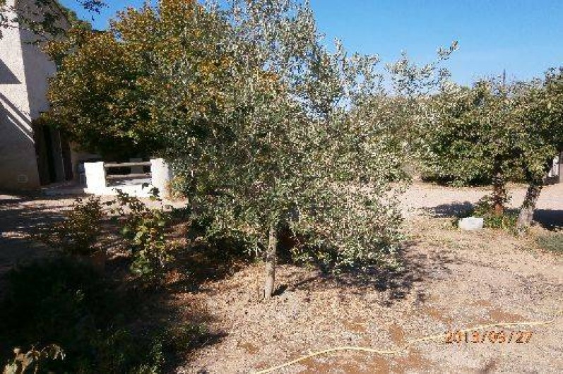 Location de vacances - Villa à Porto-Vecchio