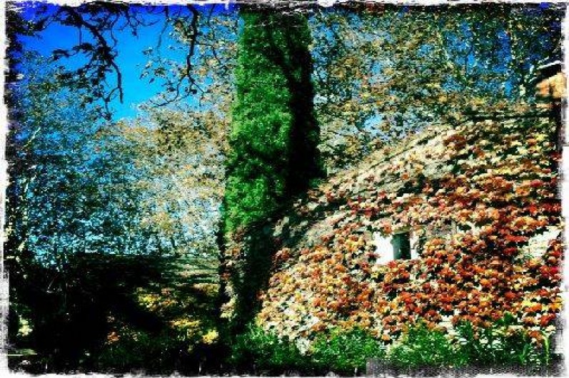 Location de vacances - Gîte à Mondragon