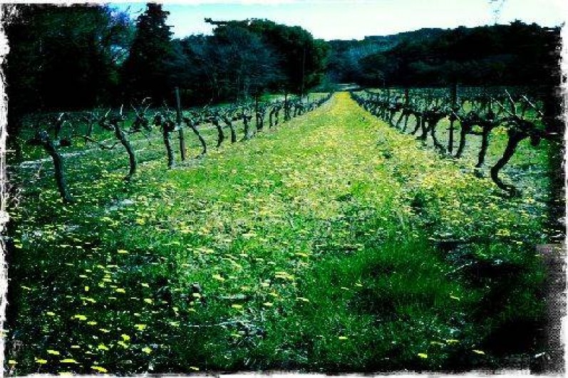 Location de vacances - Gîte à Mondragon