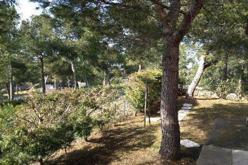 Location de vacances - Maison - Villa à Ensuès-la-Redonne - ARRIERE DE LA VILLA