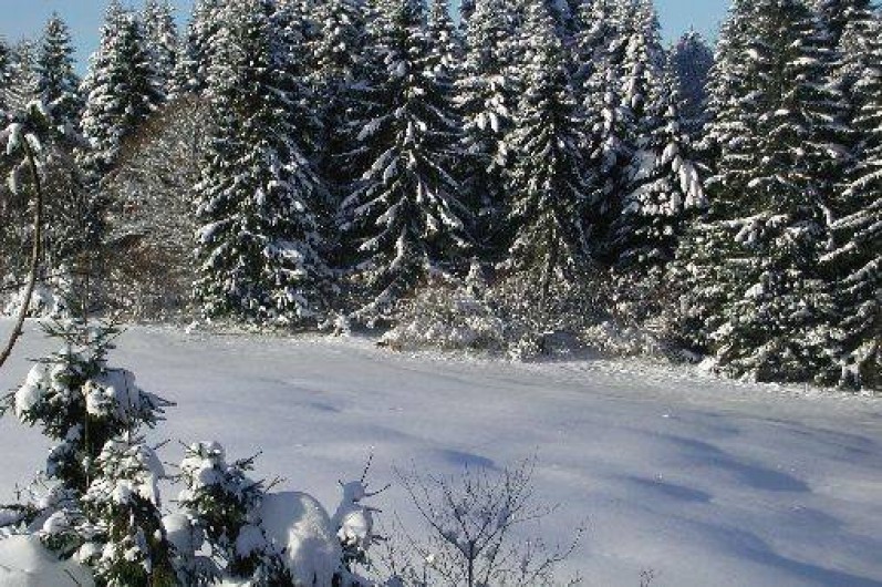 Location de vacances - Studio à Gérardmer