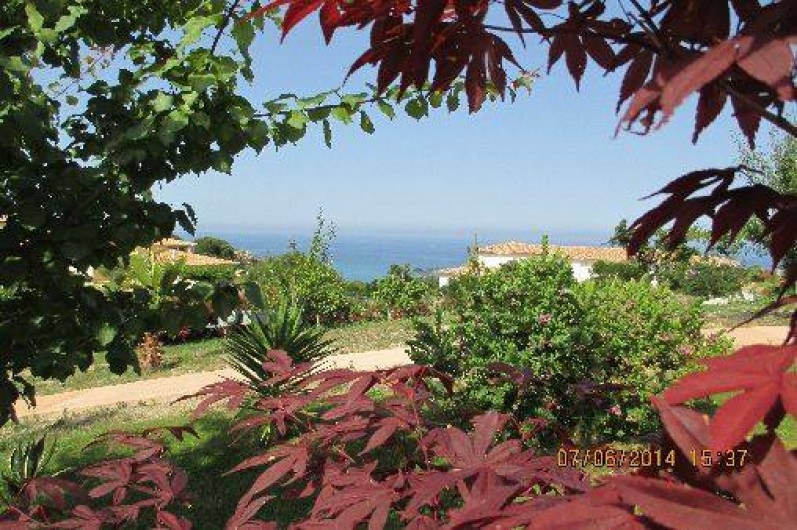 Location de vacances - Gîte à Sari-Solenzara