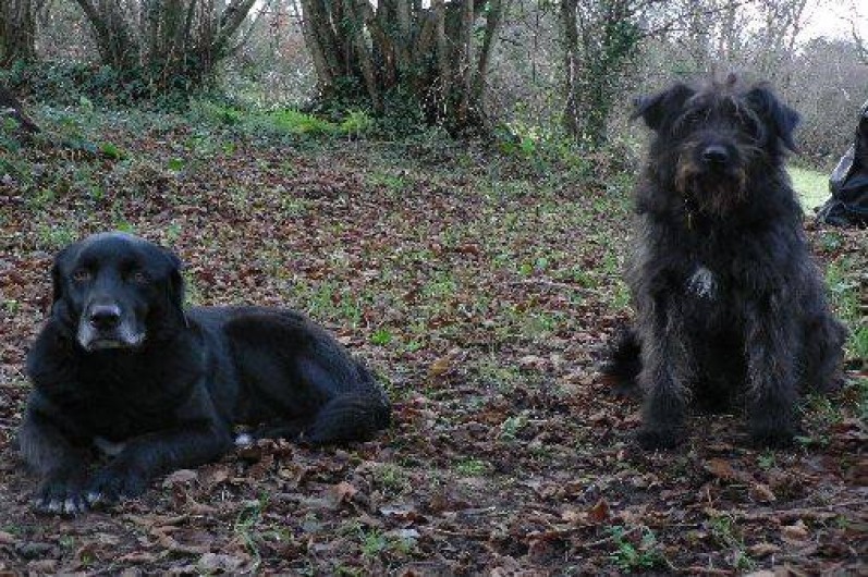 Location de vacances - Gîte à Pont-Farcy