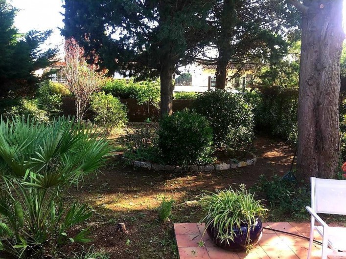 Location de vacances - Villa à Sainte-Maxime - le jardin