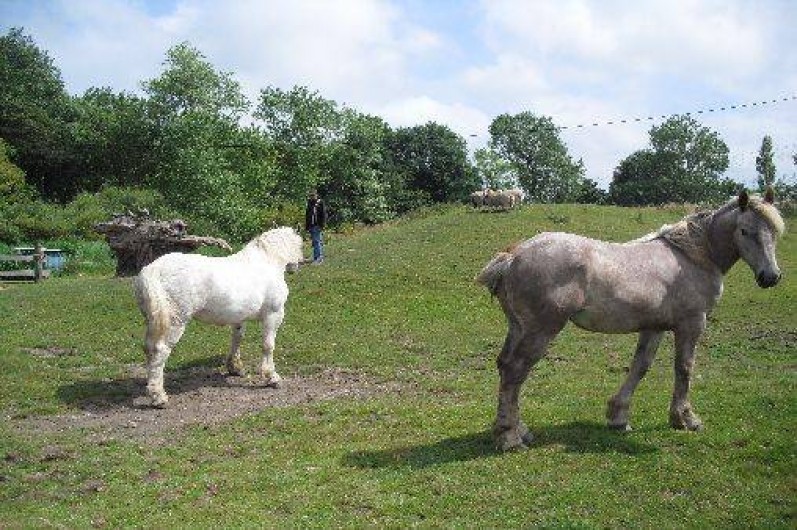 Location de vacances - Gîte à Hames-Boucres