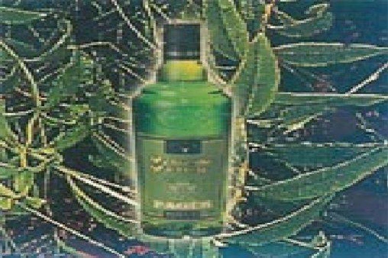 Location de vacances - Gîte à Landos - VERVERNE  DU PUY