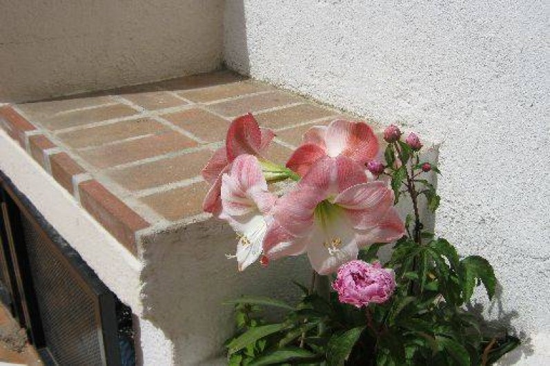 Location de vacances - Villa à Canet-en-Roussillon