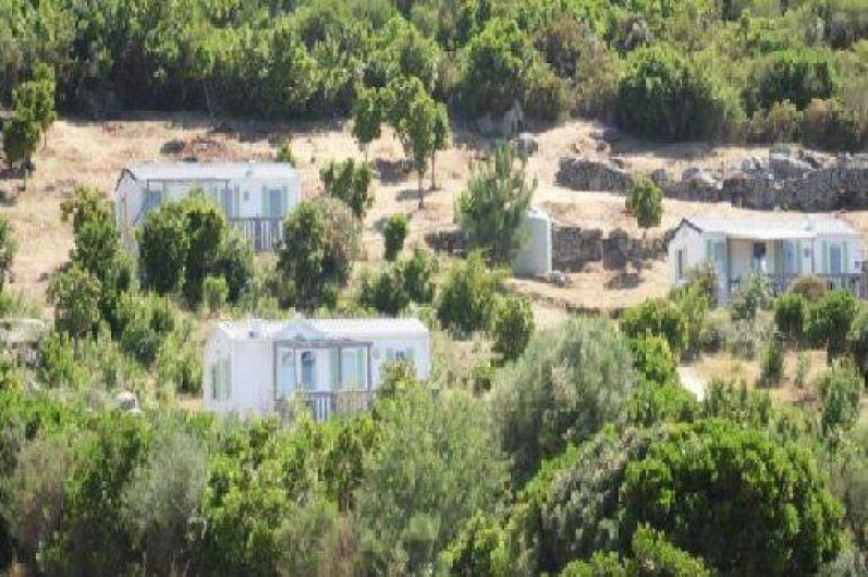 Location de vacances - Bungalow - Mobilhome à Saint-Florent - Vue d'ensemble