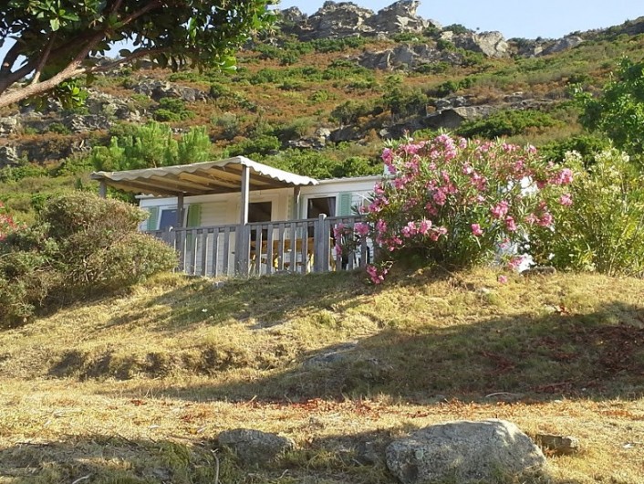 Location de vacances - Bungalow - Mobilhome à Saint-Florent - MH 3 en haut de la colline