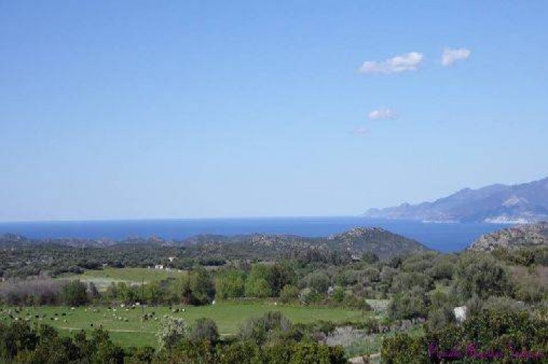 Location de vacances - Bungalow - Mobilhome à Saint-Florent - Vue sur la mer et Cap Corse depuis les MH
