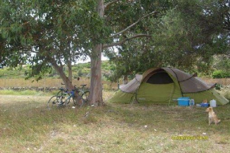 Location de vacances - Bungalow - Mobilhome à Saint-Florent - Camping possible (en tente ou van)
