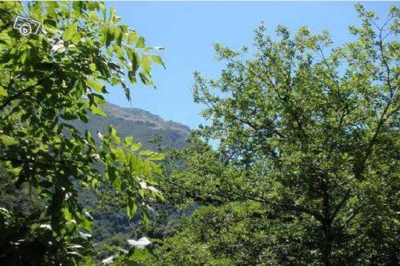 Location de vacances - Appartement à Luz-Saint-Sauveur