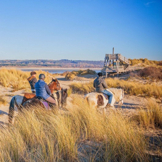 Location de vacances - Appartement à Le Touquet-Paris-Plage