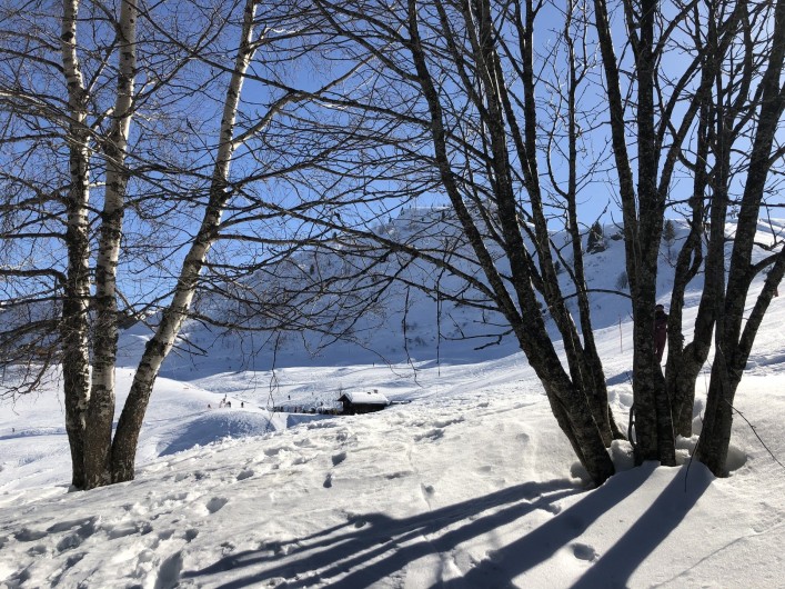 Location de vacances - Appartement à Praz-sur-Arly