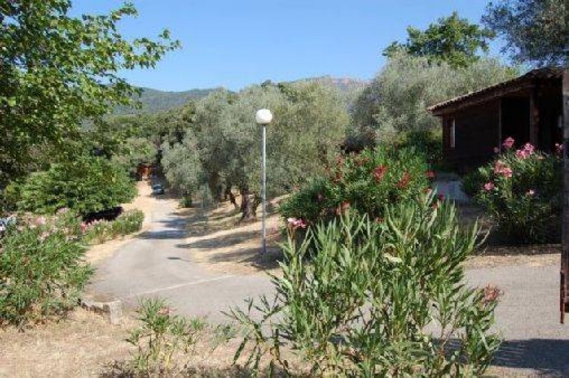 Location de vacances - Gîte à Grosseto-Prugna