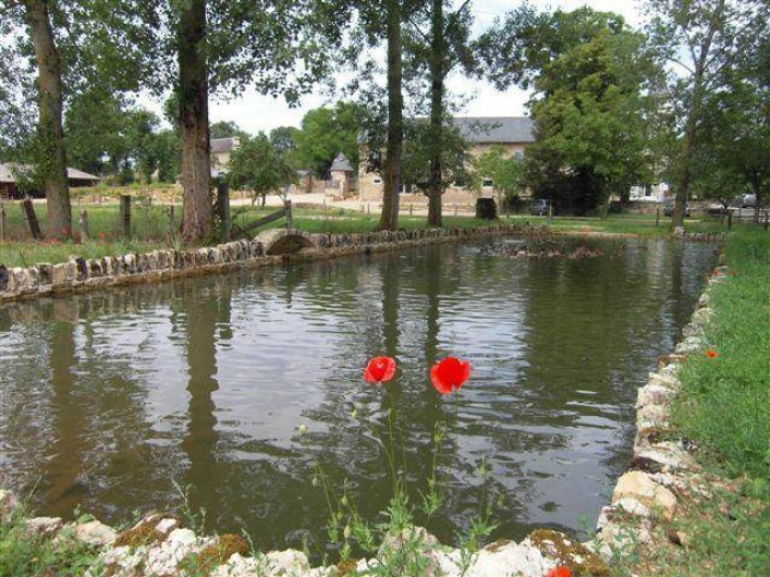 Location de vacances - Gîte à Roussennac - Mare aux canards du Mas