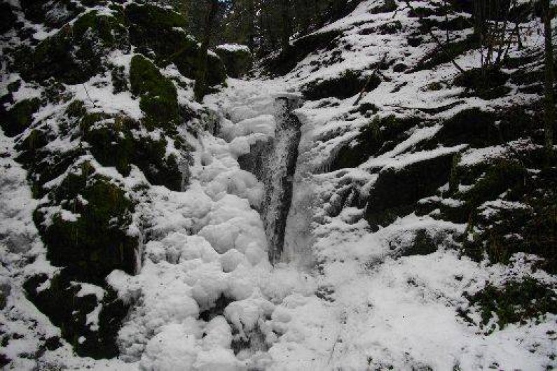 Location de vacances - Chalet à Fresse-sur-Moselle