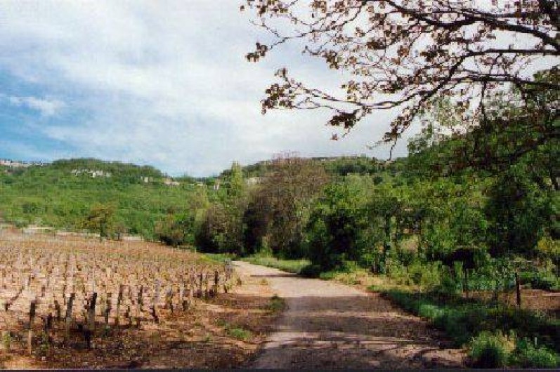Location de vacances - Gîte à Santenay