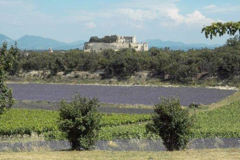 Location de vacances - Maison - Villa à Suze-la-Rousse