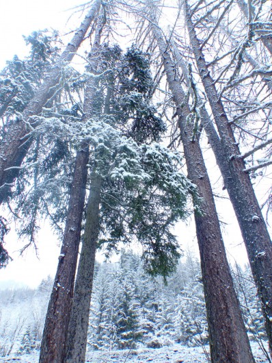 Location de vacances - Studio à Modane