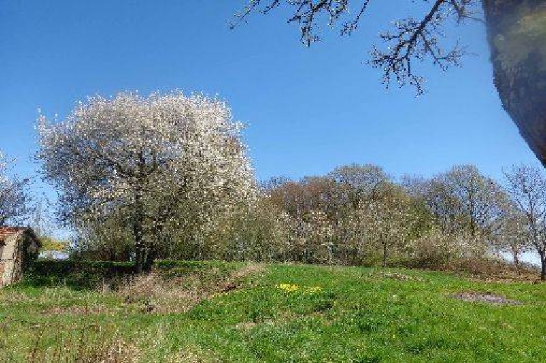 Location de vacances - Gîte à Sépeaux