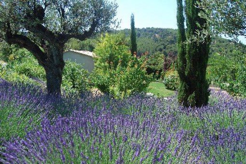 Location de vacances - Gîte à La Cadière-d'Azur