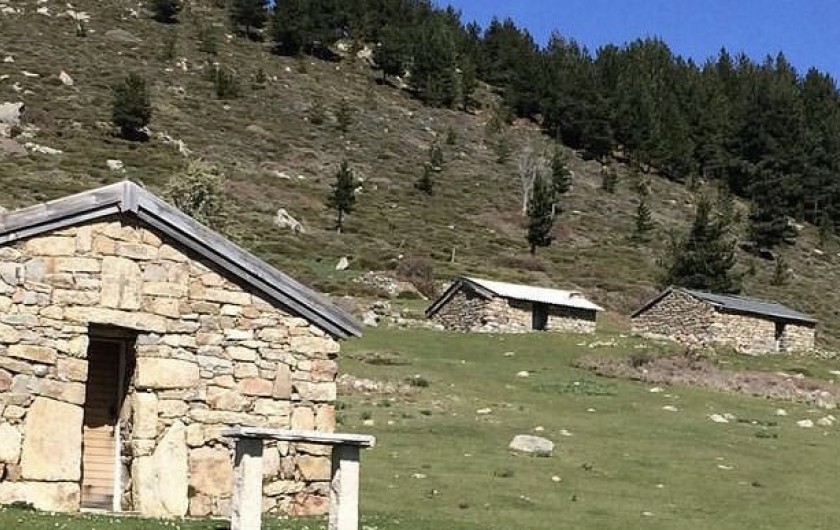 Location de vacances - Villa à Solaro