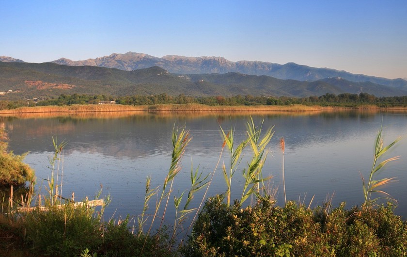 Location de vacances - Villa à Solaro