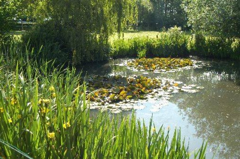 Location de vacances - Gîte à Anglesqueville-l'Esneval
