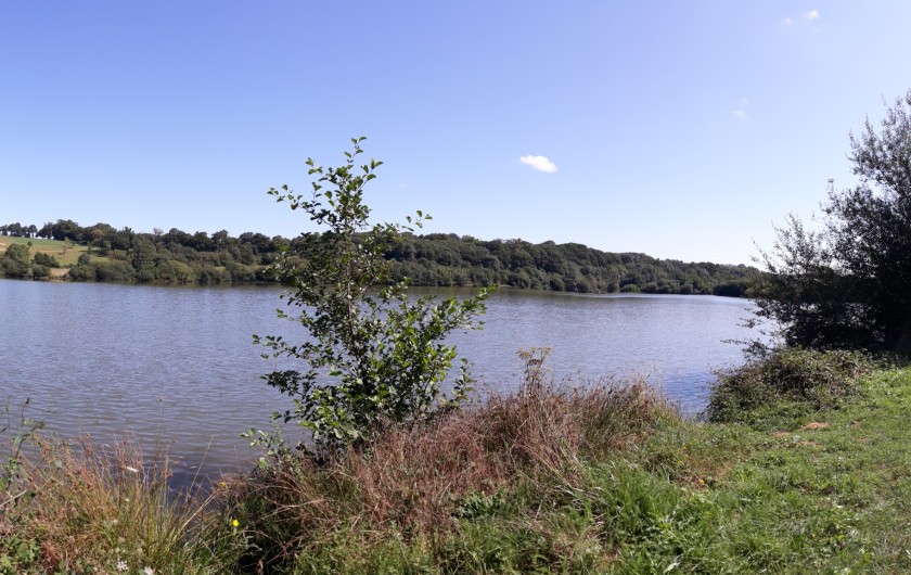 Location de vacances - Gîte à Mascaras