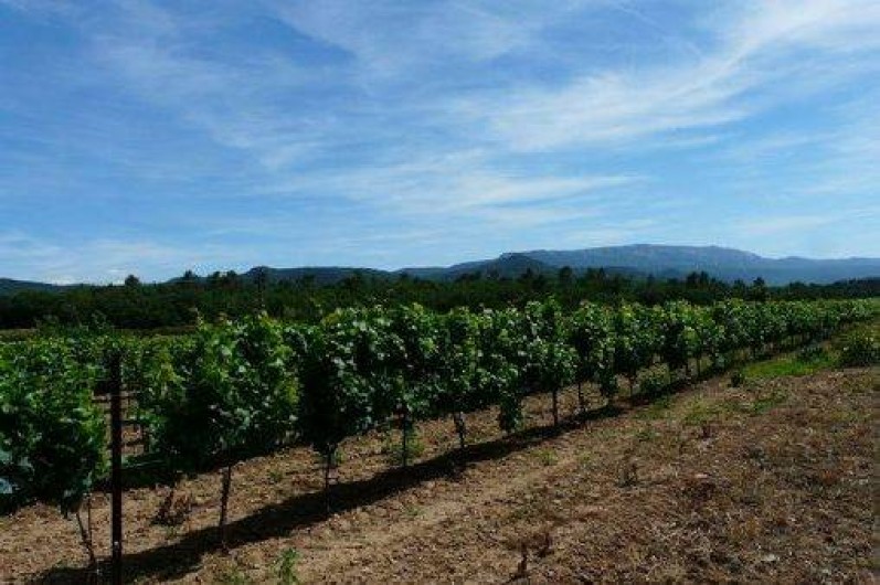 Location de vacances - Gîte à Saint-Maximin-la-Sainte-Baume