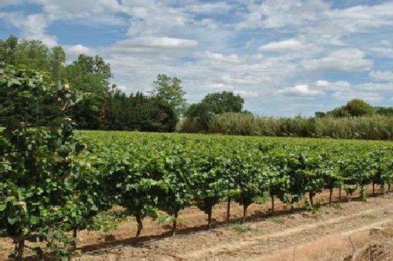 Location de vacances - Gîte à Pézenas