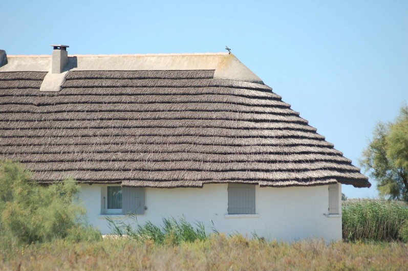 Location de vacances - Gîte à Saintes-Maries-de-la-Mer