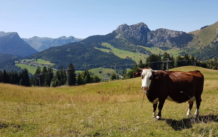 Location de vacances - Appartement à Le Grand-Bornand