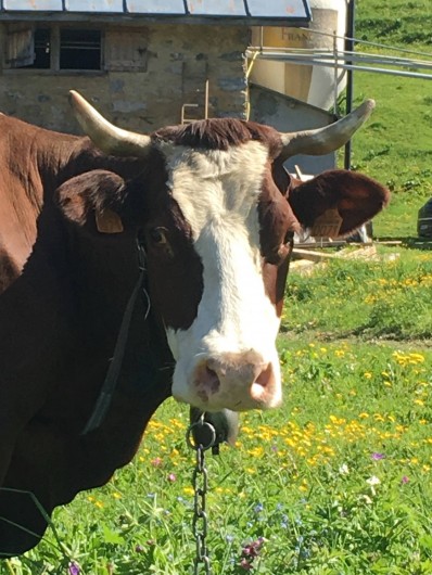 Location de vacances - Appartement à Le Grand-Bornand