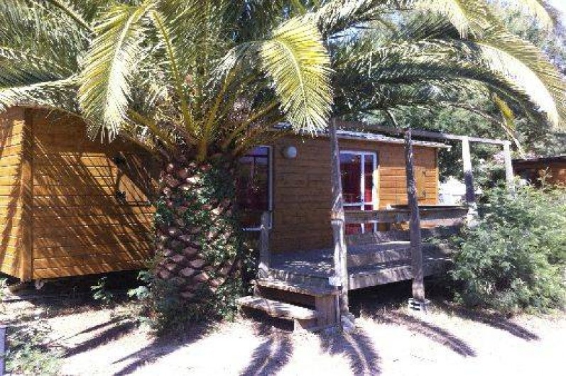 Location de vacances - Camping à Laroque-des-Albères