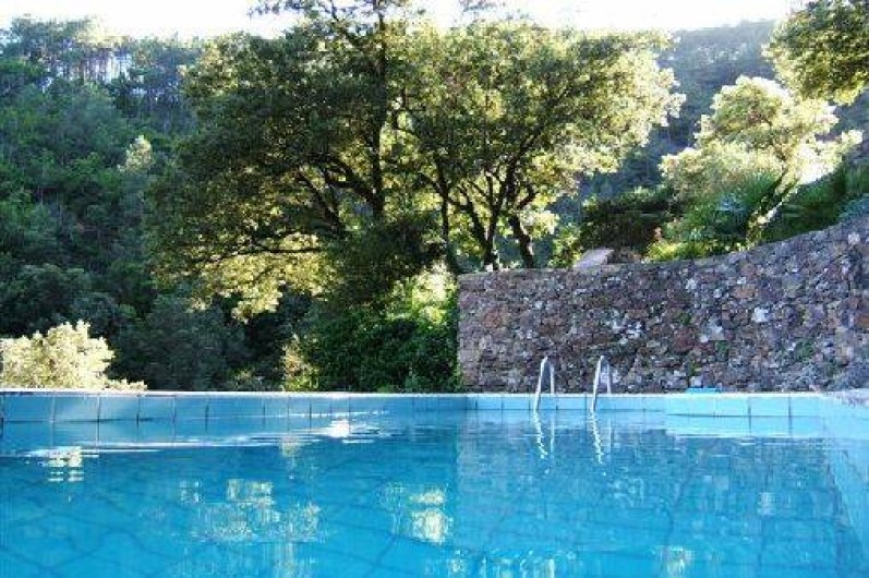 Location de vacances - Gîte à Mialet - La piscine