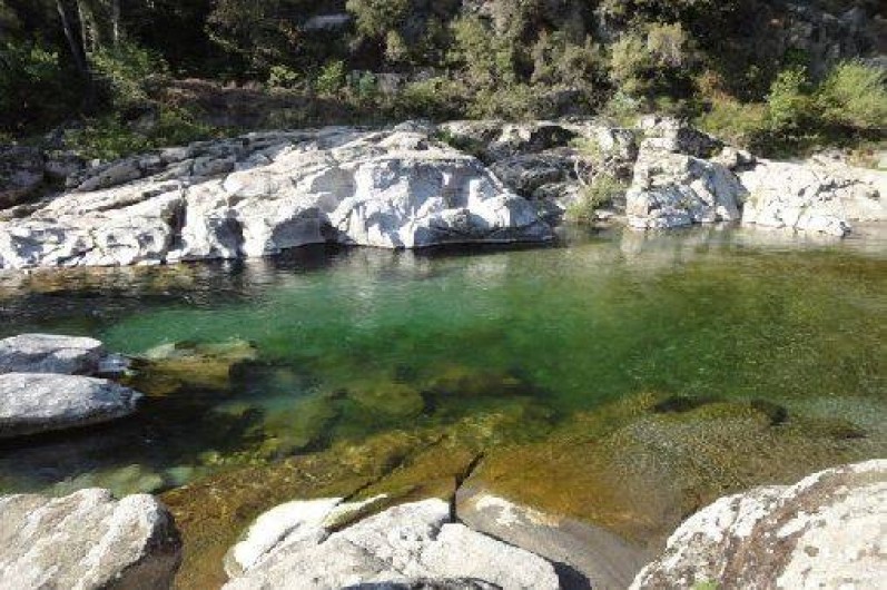 Location de vacances - Gîte à Mialet - Rivière