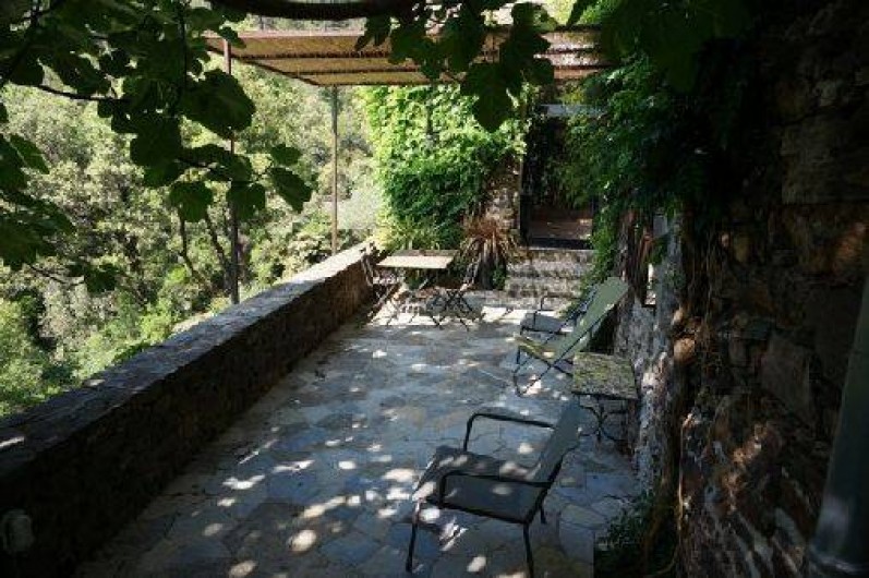 Location de vacances - Gîte à Mialet - Terrasse du gîte du Figuier (4pers.)