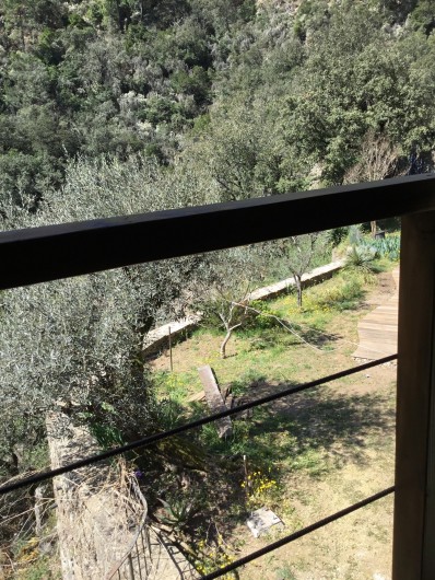 Location de vacances - Gîte à Mialet - vue du jardin ( gîte de l'Olivier)