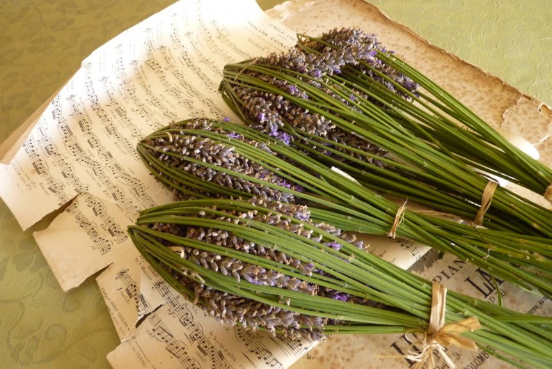 Location de vacances - Studio à Gréoux-les-Bains