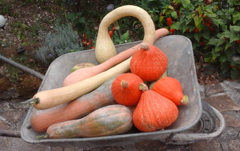 Location de vacances - Appartement à Arandon - LEGUMES DU JARDIN QUE NOUS PARTAGEAONS AVEC NOS HÔTES