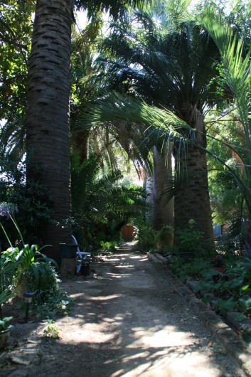 Location de vacances - Appartement à Collioure - Allée principale du parc donnant sur porte d'entrée
