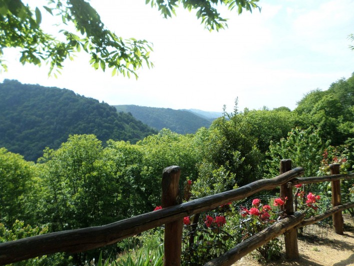 Location de vacances - Gîte à Junhac